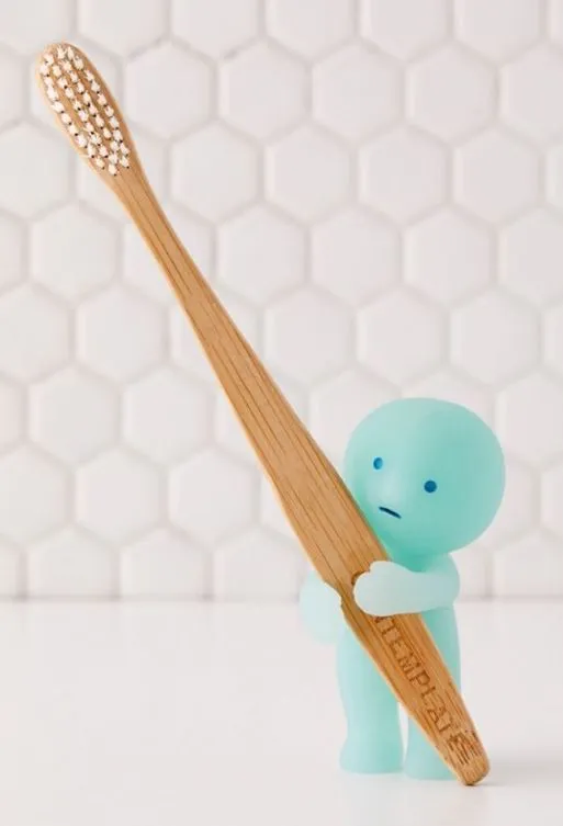 SMISKI Toothbrush Stand (Holding) SMI66230